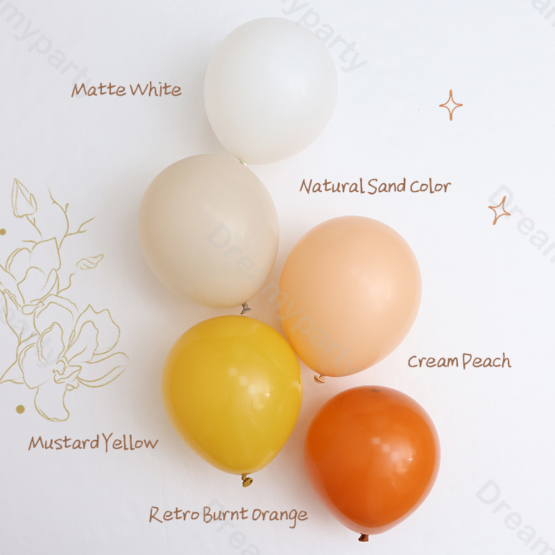 5/10/12/18inch Pastel Balloon  - Balloon Arch Kit 评论和价格